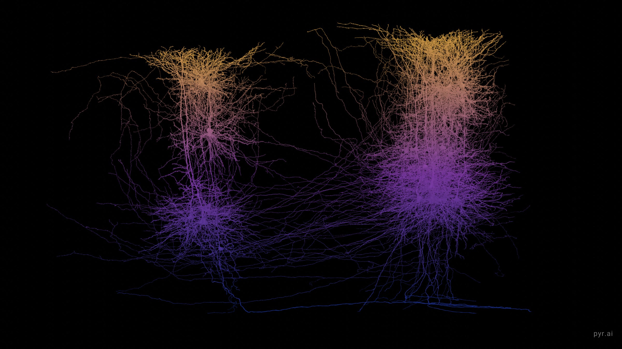 MICrONS cortical neurons coloured continuously by depth below the pia